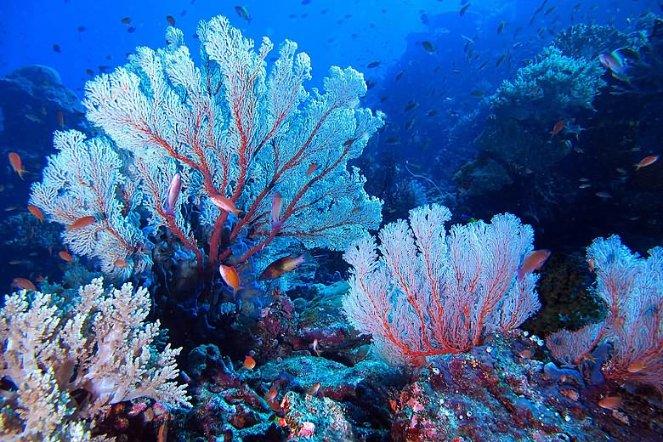 前海临海桂湾河桥通车！前海交通路网建设再添“关键一笔”