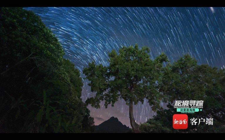全民剧本大师内置菜单
