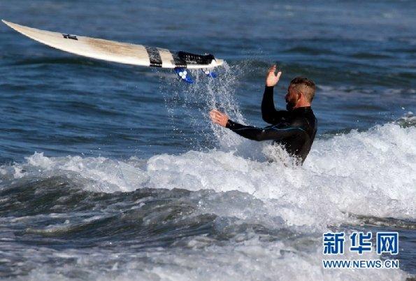 共谋行业未来 2024长沙门窗行业协会年会暨湖南门窗发展研讨会举行