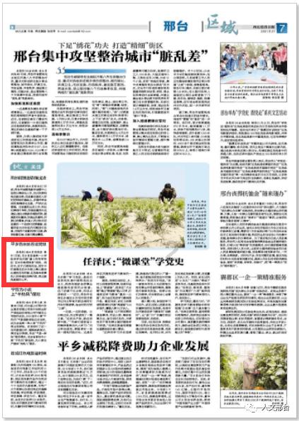 拯救可爱袋鼠