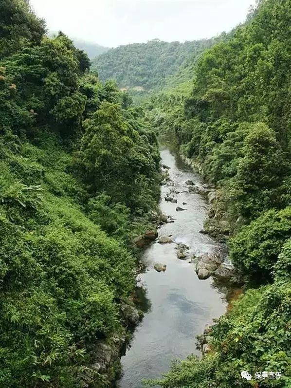 飙酷车神