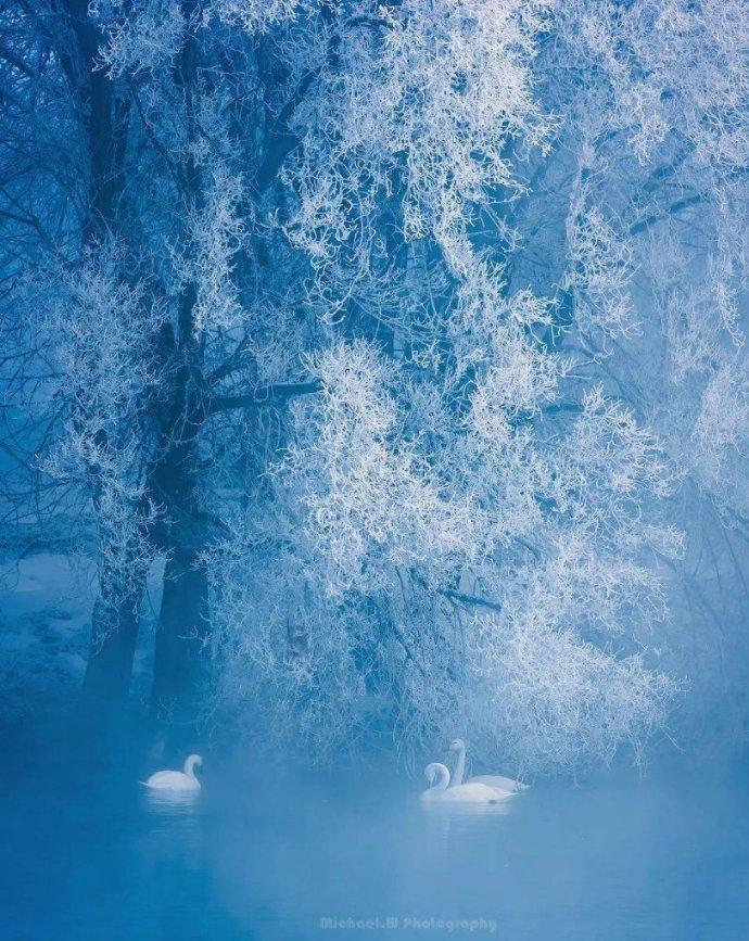 三明:以雪为令 泰宁警方用行动温暖一座城